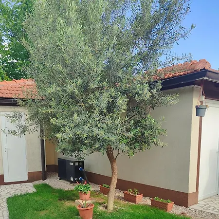 Hacijenda Za Odmor Iz Snova Uz Potpunu Privatnost Januarac Jan Villa